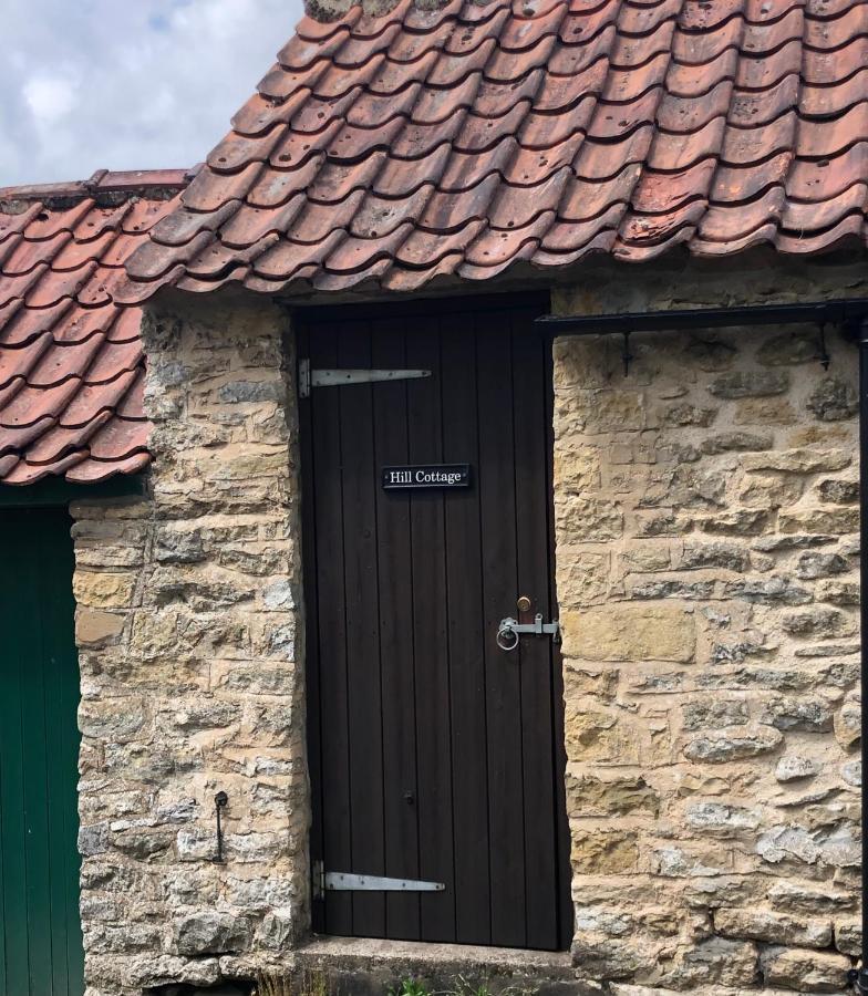 Hill Cottage, Thornton-Le-Dale Thornton Dale Kültér fotó